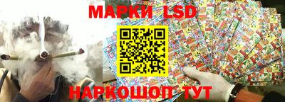 стафф Бийск