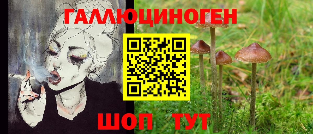 Галлюциногенные грибы мухоморы Зеленокумск