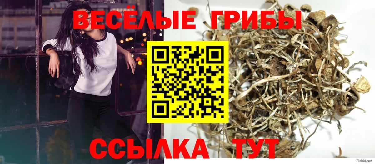 Зеленокумск  Галлюциногенные грибы прущие грибы  Псилоцибиновые грибы GOLDEN TEACHER  Вход с VPN 